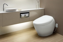 TOTO ONE PIECE WATER CLOSET